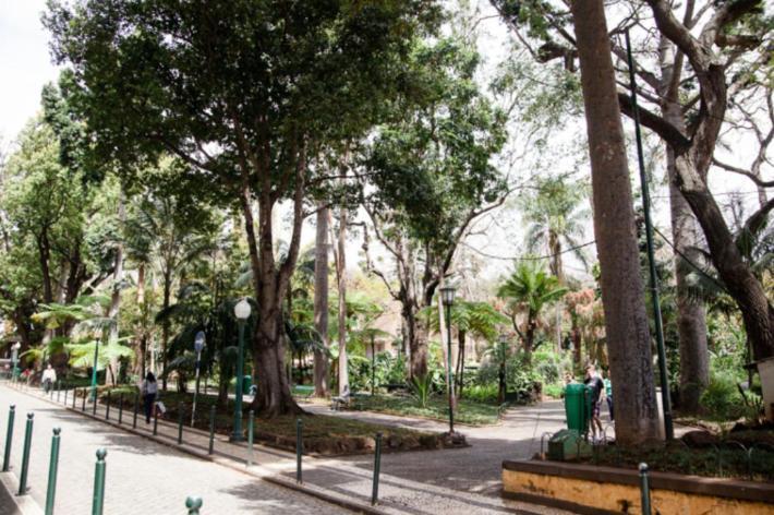 Central Funchal Apartment - Garden - Free Parking & Ac Exterior foto