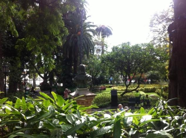 Central Funchal Apartment - Garden - Free Parking & Ac Exterior foto
